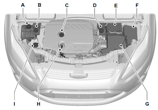 Widok ogólny obszaru pod pokrywą komory silnika - 1,6 l Duratorq-TDCi