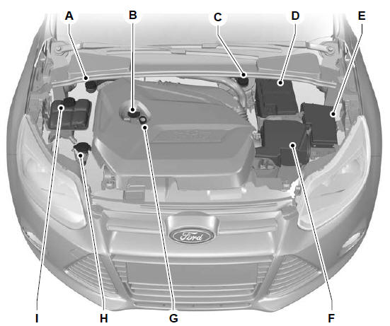 Widok ogólny obszaru pod pokrywą komory silnika - 1,6 l EcoBoost SCTi