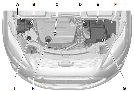 Widok ogólny obszaru pod pokrywą komory silnika - 2,0 l Duratorq-TDCi