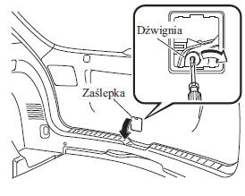 Gdy nie można otworzyć pokrywy bagażnika