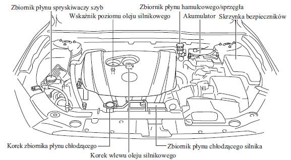 Widok komory silnika