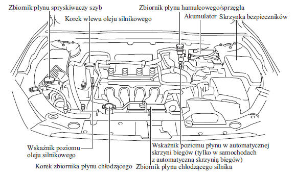 Widok komory silnika